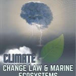 Carbon Taxes and Border Adjustment Mechanisms (CBAM)