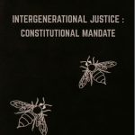 Judicial Limits on Constitutional Amendments